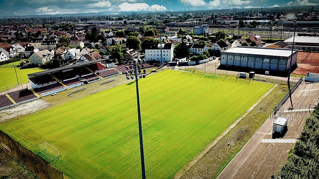 官方：青岛海牛外援拉德曼诺瓦茨加盟匈牙利球队瓦尔达