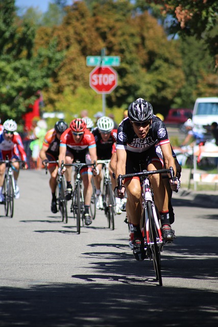 正如诗句所 正如诗句所