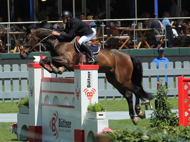 上丝绸之路 上丝绸之路