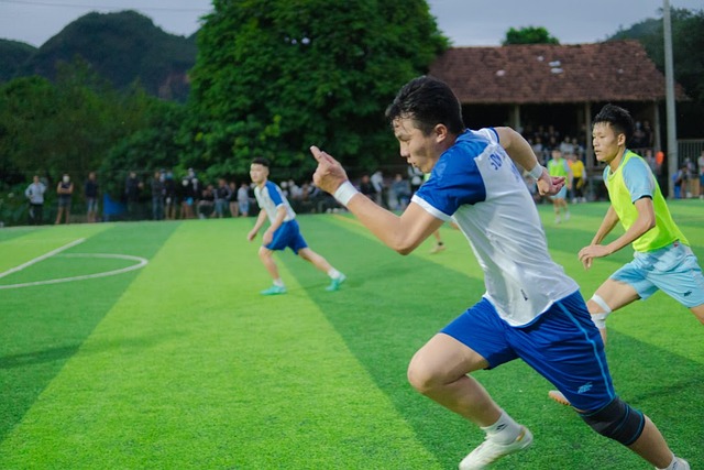 强大的对手 强大的对手