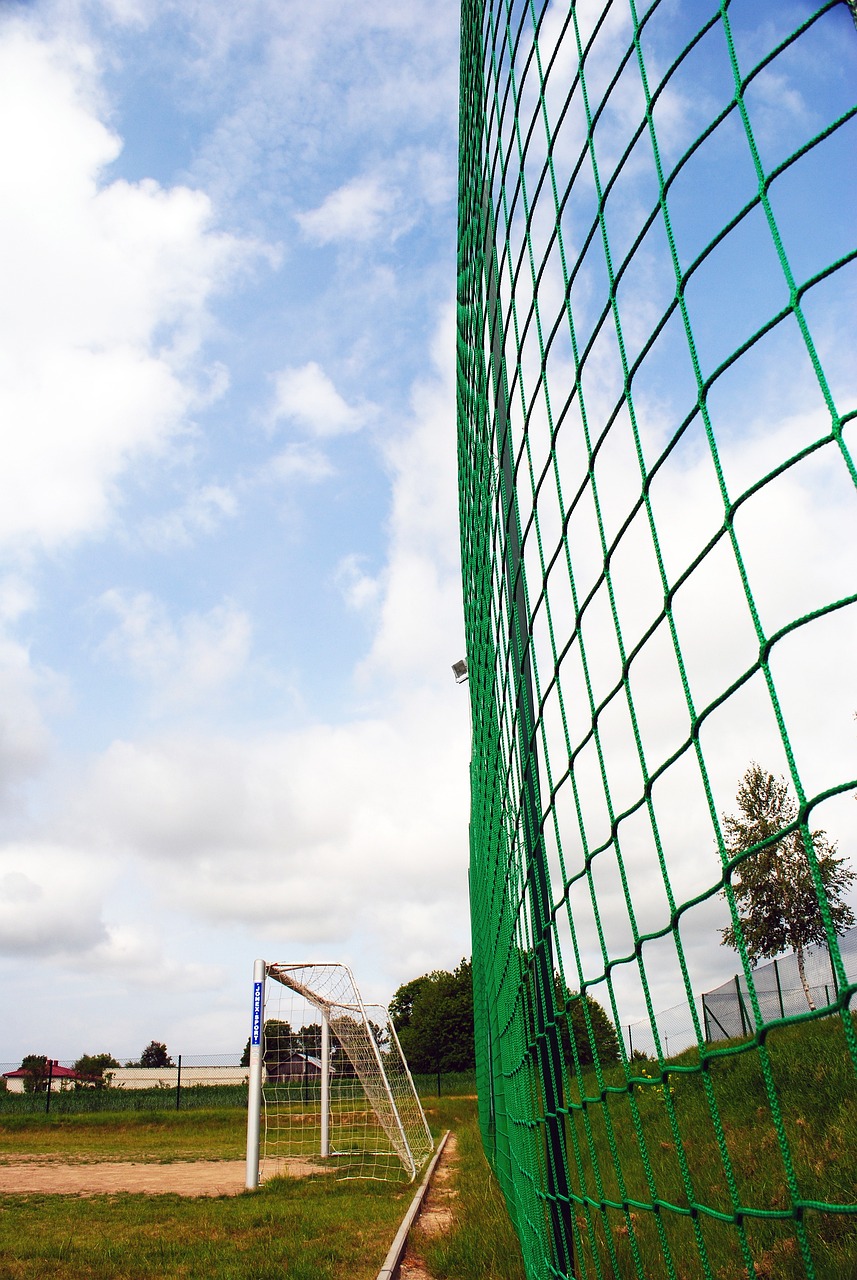 通过为球员 通过为球员