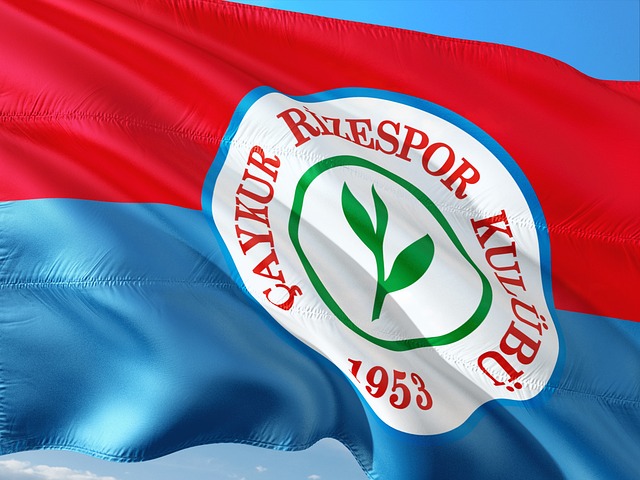 而庄重的火 而庄重的火